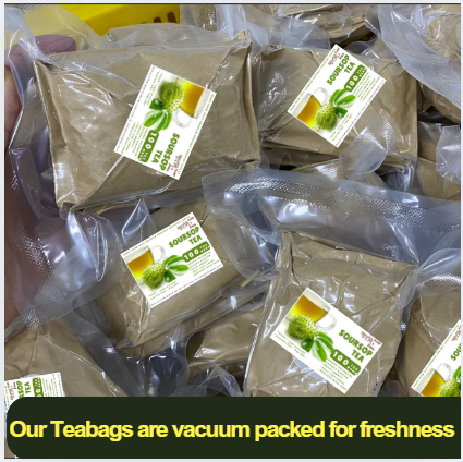 100 Soursop Tea Bags - Fresh Batch