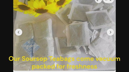 100 Soursop Tea Bags - Fresh Batch